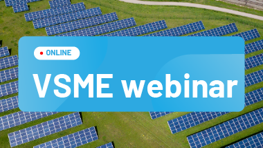 VSME webinar_380x214 copy 2