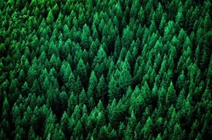 EMS & ISO 14001